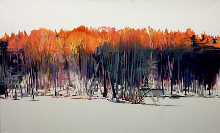 Echo 3 • 80 x 130 cm • 2010 • Öl auf Leinwand