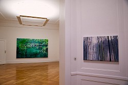 Galerie Villa Köppe: Wald als emotionale Landschaft, Einzelausstellung