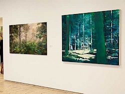  Haus Beda: Mythos Wald? Historische und zeitgenössische Interpretationen zum Thema Wald und Bäume