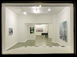 Galerie Biesenbach: Hidden Places, Einzelausstellung
