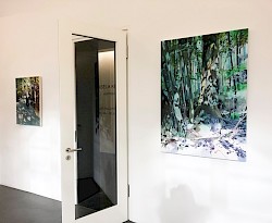 Einzelausstellung mit begleitender Broschüre
in der Galerie Wittenbrink München