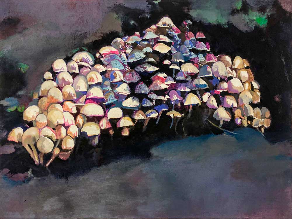 Hallimasch • 60 x 80cm • 2018 • Öl auf Leinwand