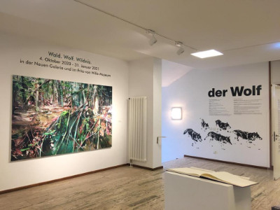 <p><strong>Ausstellung »Wald. Wolf. Wildnis«</strong><br />
Neue Galerie im Haus Beda im Eifelort Bitburg</p>